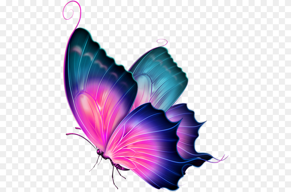 3d Butterfly Clipart, Accessories, Art, Fractal, Graphics Png Image