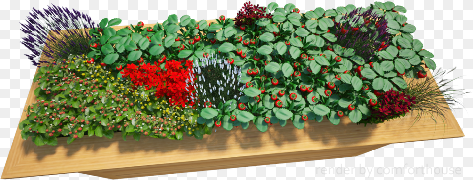 3d Decorative Flower Bed Rose, Pottery, Potted Plant, Planter, Plant Png Image