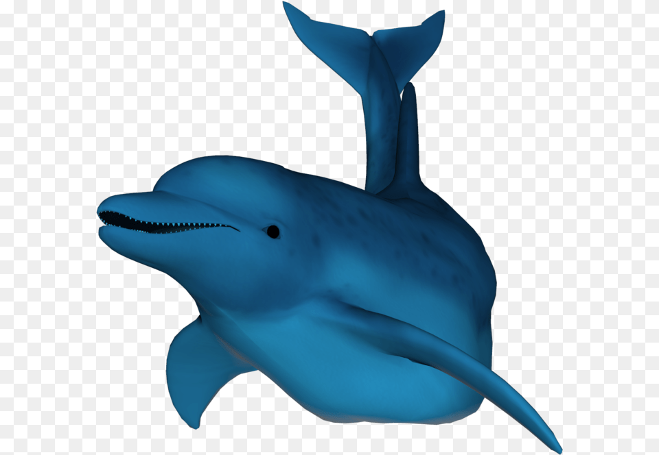 3d Dolphin, Animal, Mammal, Sea Life, Fish Png Image