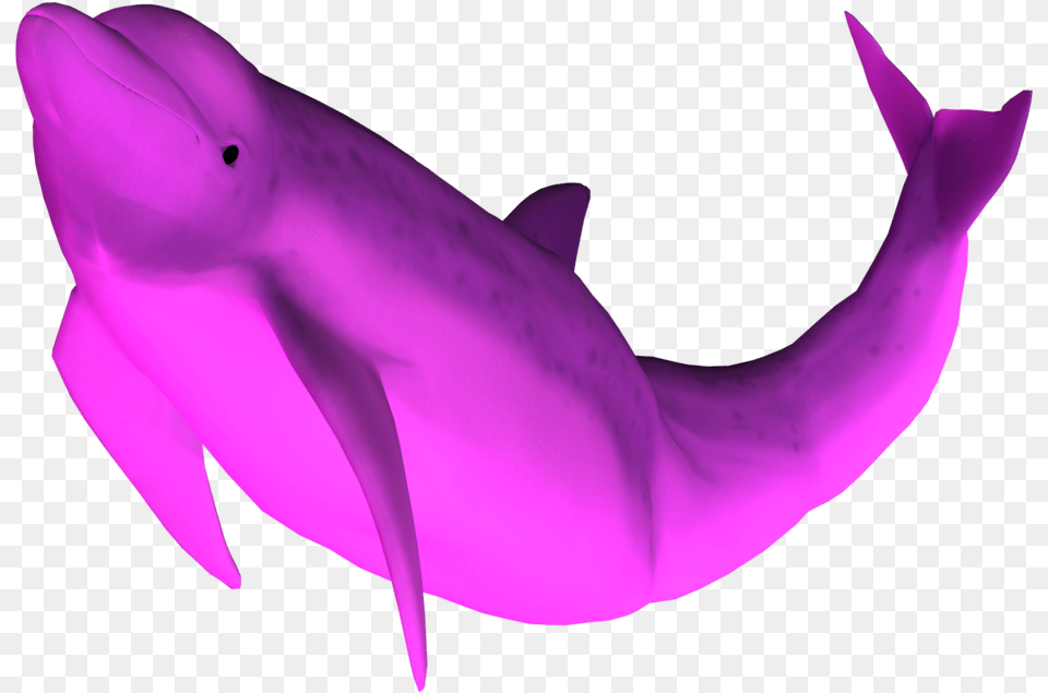 3d Dolphin Pink Dolphin, Animal, Mammal, Sea Life, Fish Free Png Download