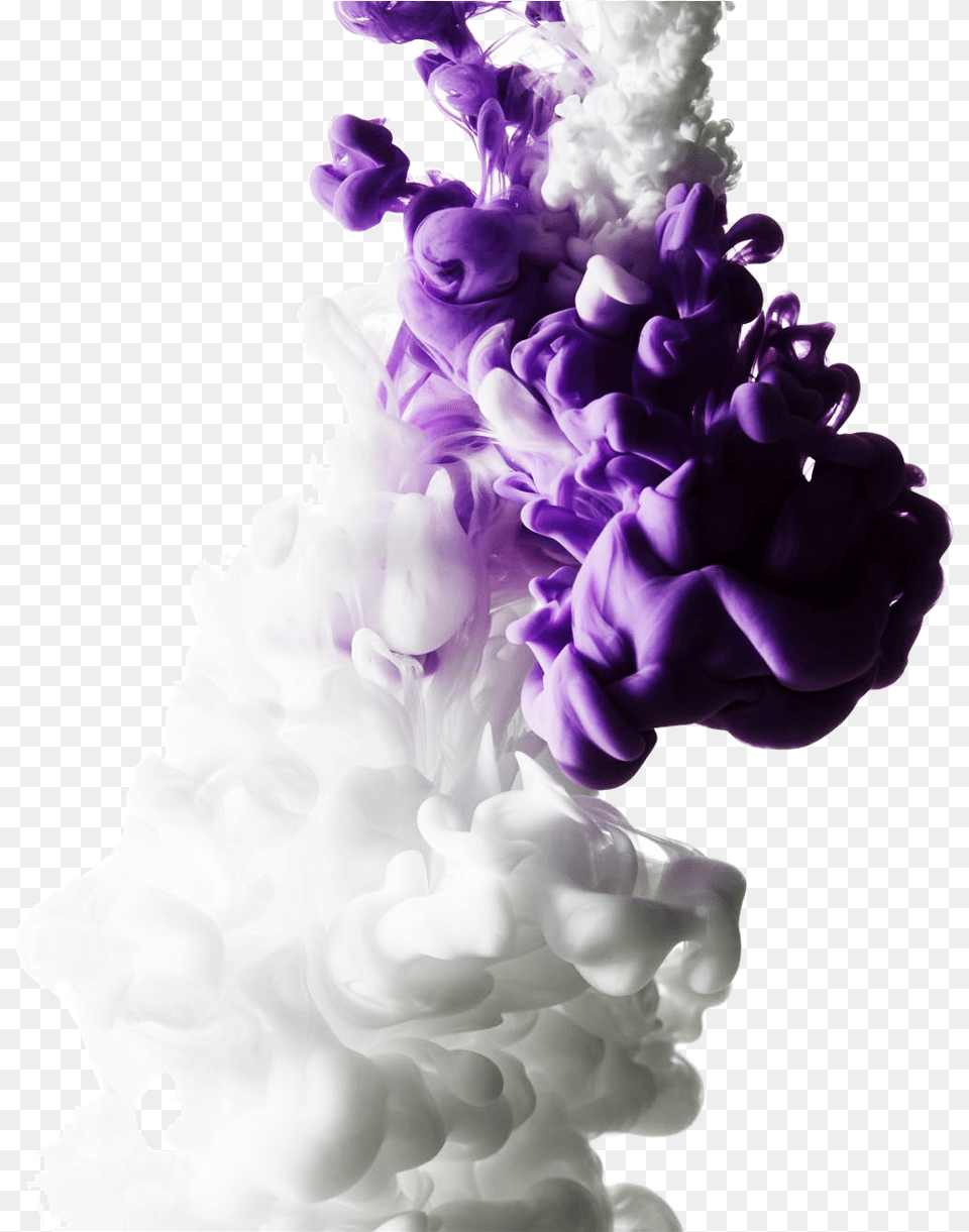 3d Effect Smoke White Purple Colors Abstract Awesome Smoke Effect White Background, Flower, Plant, Adult, Wedding Free Png