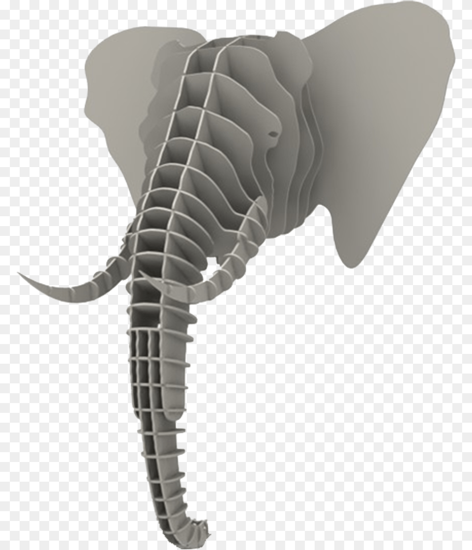 3d Elephant Head, Animal, Dinosaur, Reptile Png