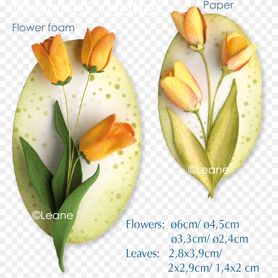 3d Flower Tulip Knife, Plant, Petal, Sprout, Bud Png