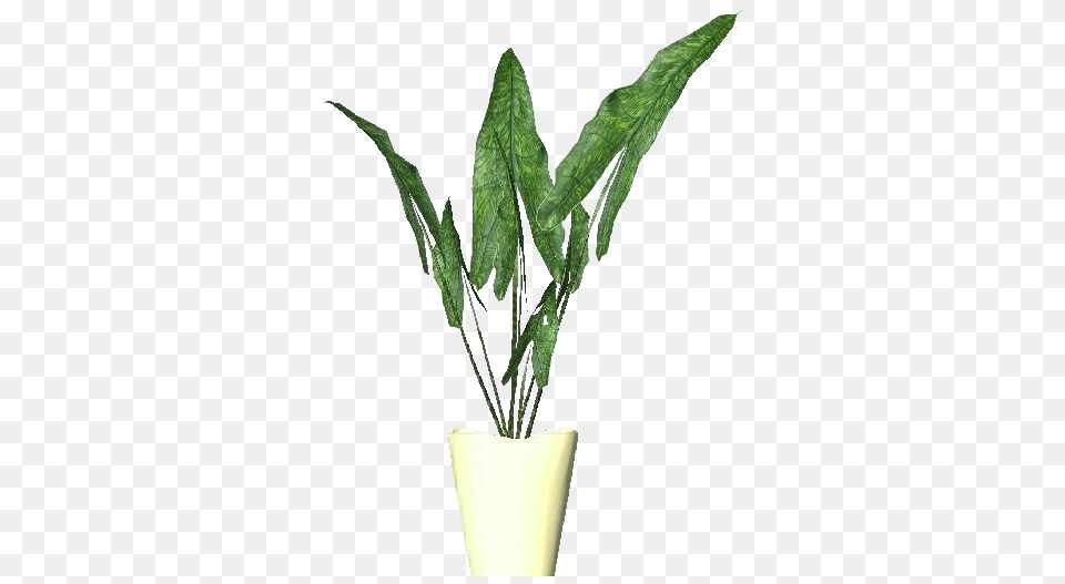 3d Flowers, Leaf, Plant, Potted Plant Free Png Download