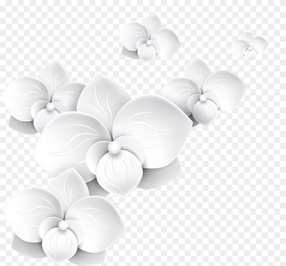 3d Flowers Pictures White 3d Flower, Petal, Plant, Chandelier, Lamp Free Png Download