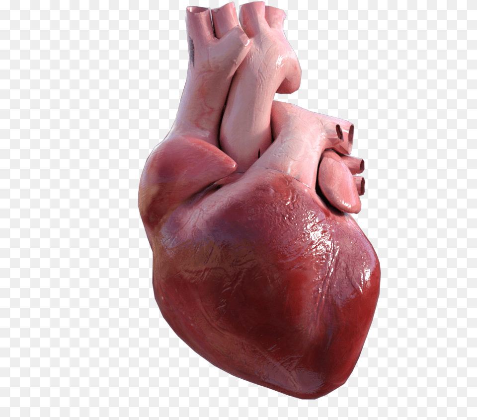 3d Heart, Body Part, Finger, Hand, Person Png Image