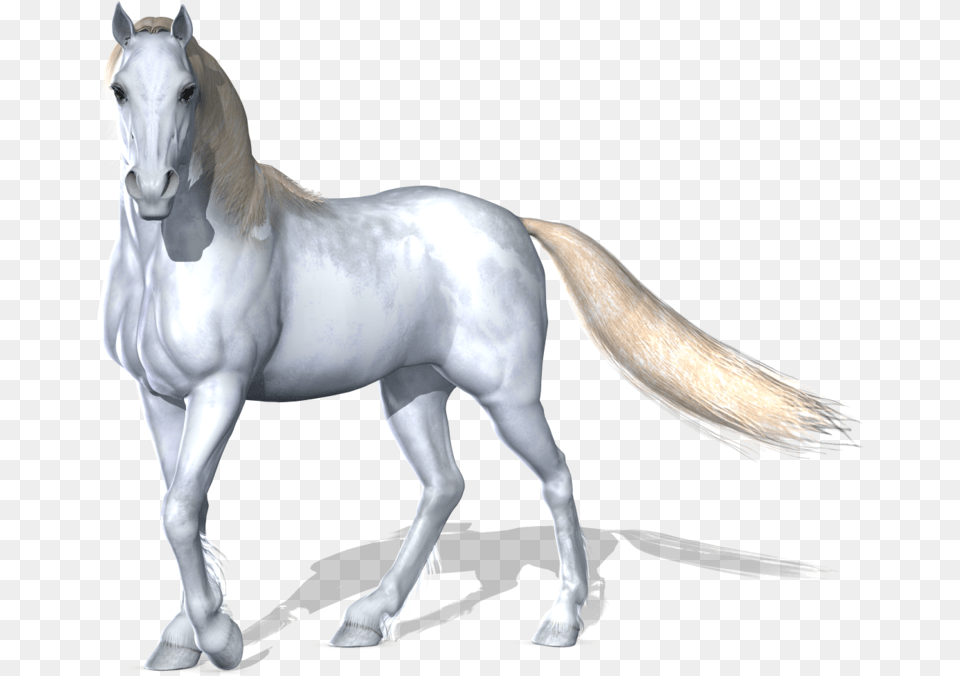 3d Horse White Horse Images Hd, Animal, Mammal, Stallion, Andalusian Horse Png
