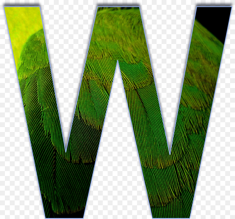 3d Letters W, Green, Logo, Leaf, Plant Free Transparent Png
