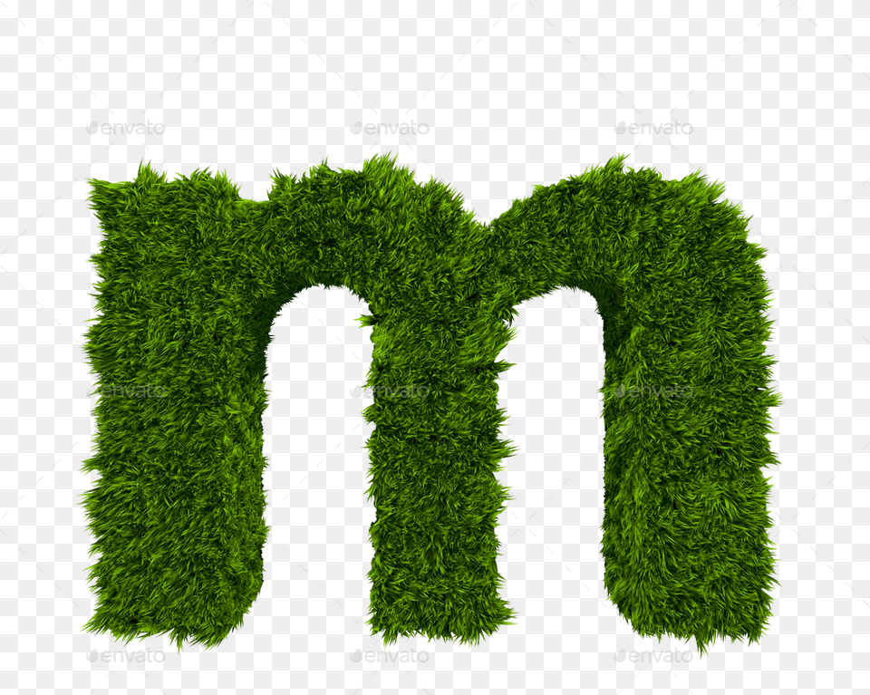 3d M Letter, Fence, Hedge, Plant, Moss Free Png Download