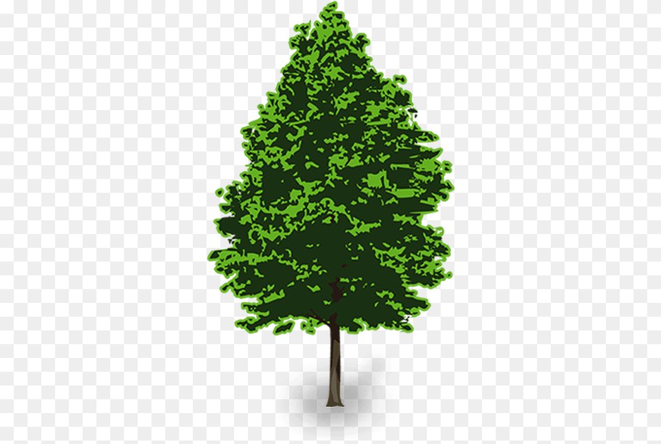 3d Pine Tree Vector Clip Art Portable Network Graphics, Green, Plant, Conifer, Fir Free Transparent Png