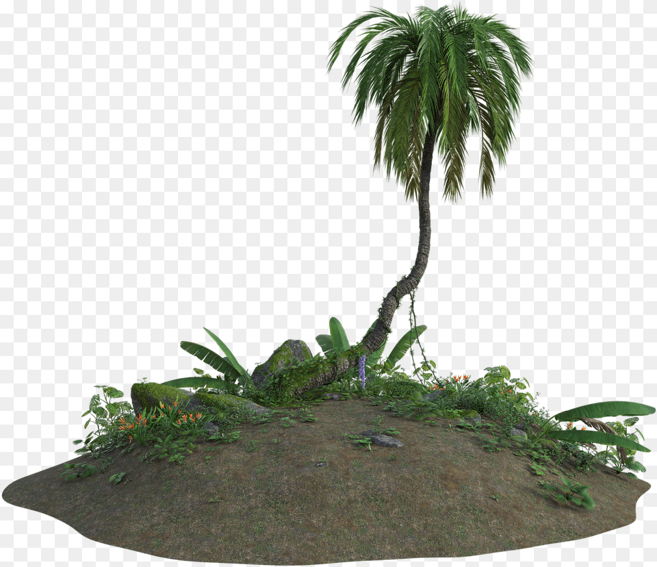 3d Plants Transparent, Vegetation, Tree, Plant, Palm Tree Png Image