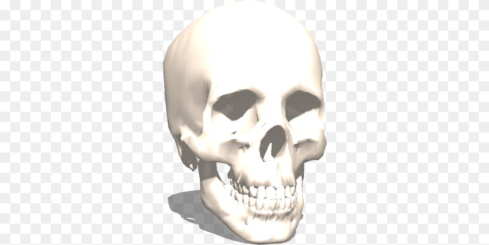 3d Printer Skull Model, Head, Person, Body Part, Mouth Png Image