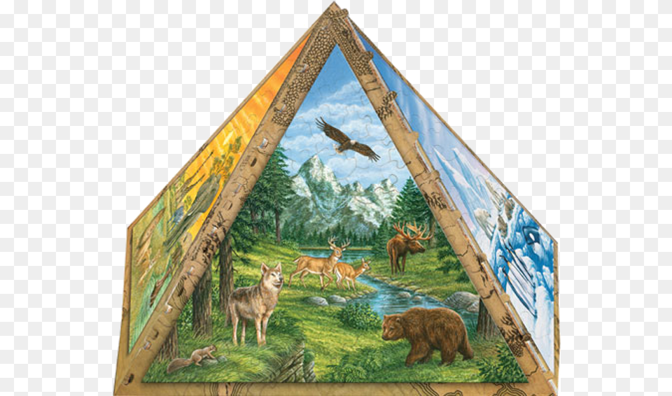 3d Pyramid Puzzle Painting, Animal, Wildlife, Bear, Mammal Png