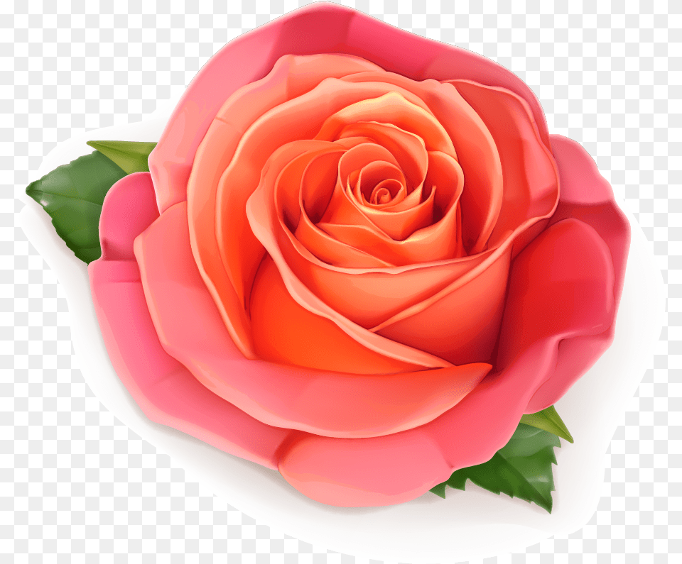 3d Rose, Flower, Plant, Petal Png