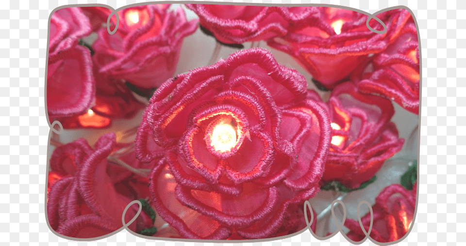 3d Rose String Lights Machine Embroidery, Plant, Flower, Flower Arrangement, Flower Bouquet Png Image