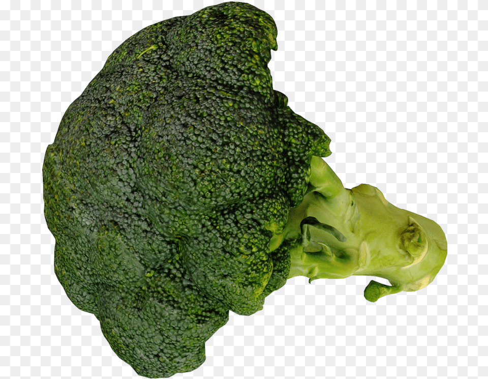 3d Scan Archives Broccoli, Food, Plant, Produce, Vegetable Png