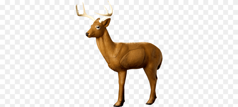 3d Targets Rinehart Woodland Buck Archery Target, Animal, Deer, Mammal, Wildlife Free Png Download