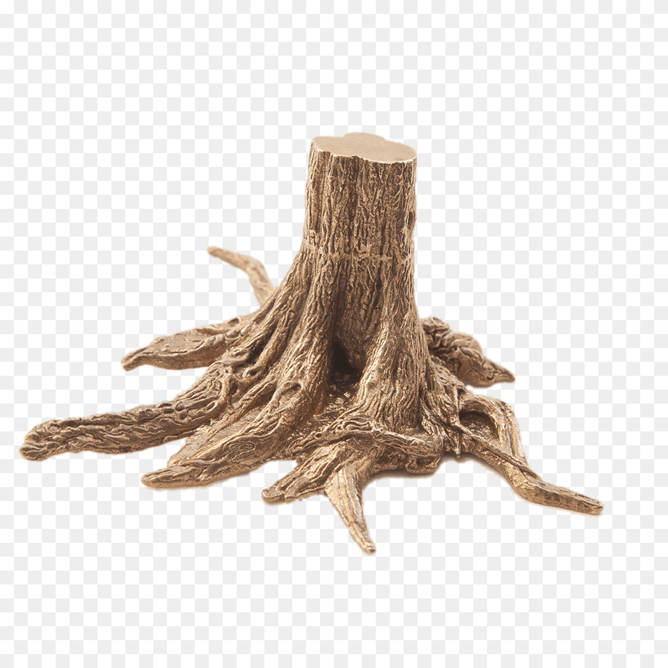 3d Tree Trunk With Roots, Plant, Tree Stump, Wood Free Png