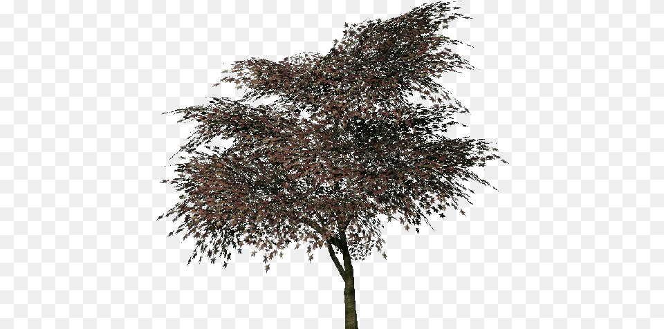 3d Trees Portable Network Graphics, Plant, Tree, Nature, Night Free Transparent Png