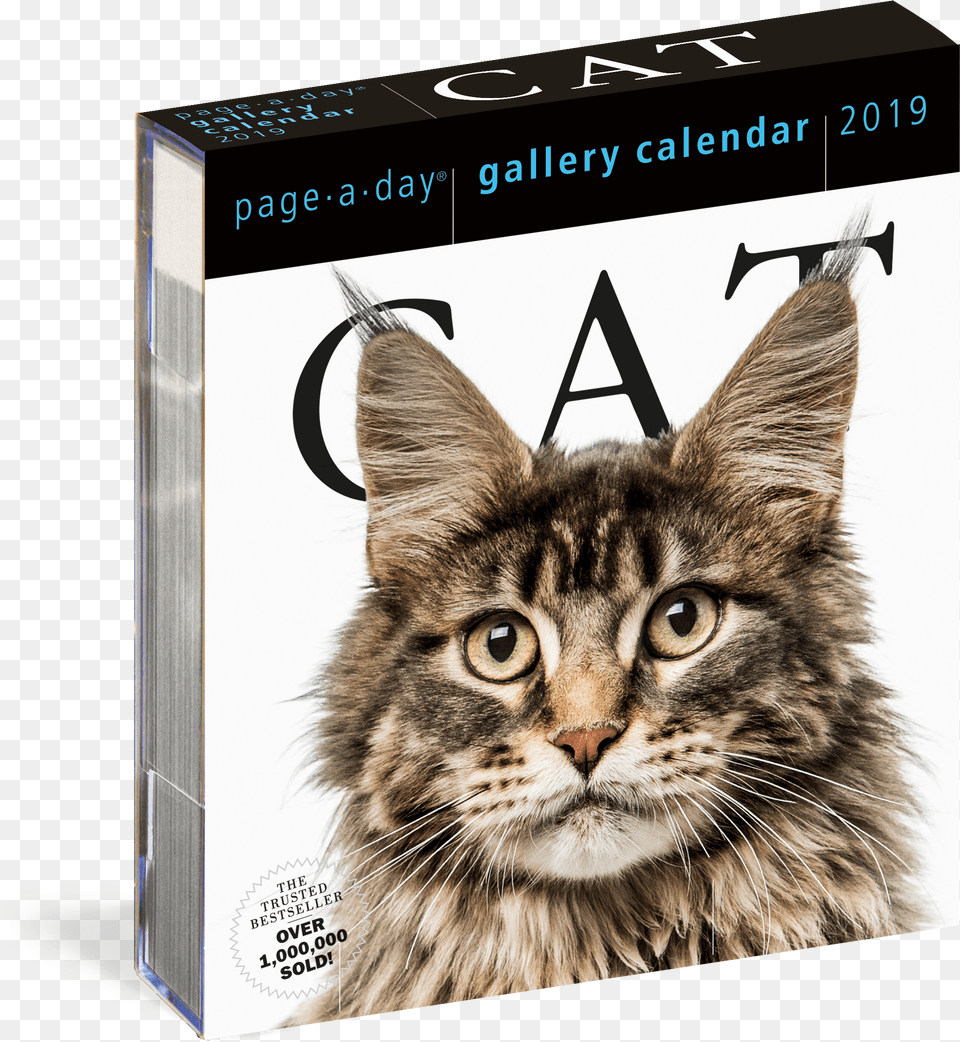 Workman Publishing Cat Gallery Desk Calendar Png