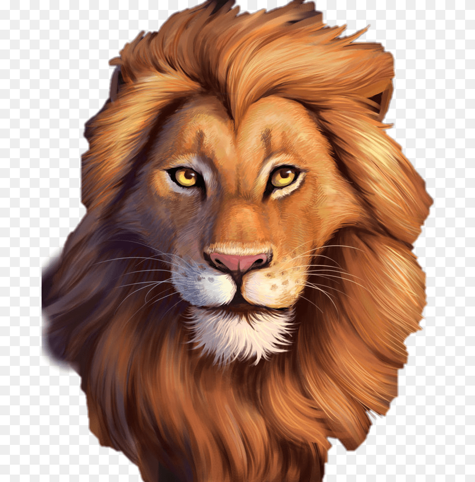 3d Wall Printing Lion, Animal, Mammal, Wildlife Free Transparent Png