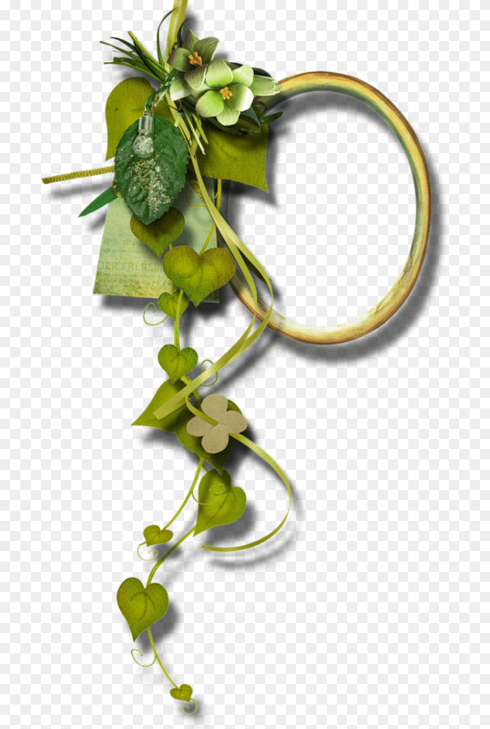 3e932 Aad4c594 Xl Jpg Rose, Plant, Vine, Flower Free Png