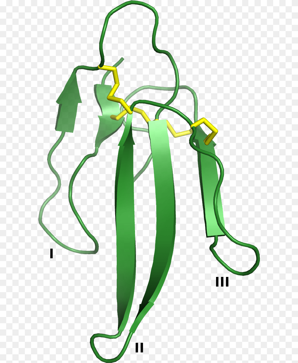 3ftx Three Finger Toxin Structure, Green, Accessories Png Image