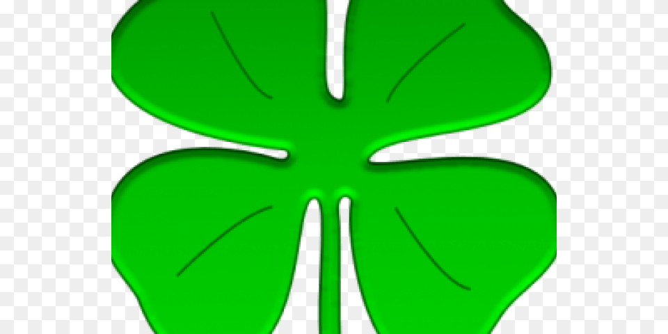 4 Leaf Clover, Green, Plant Free Png