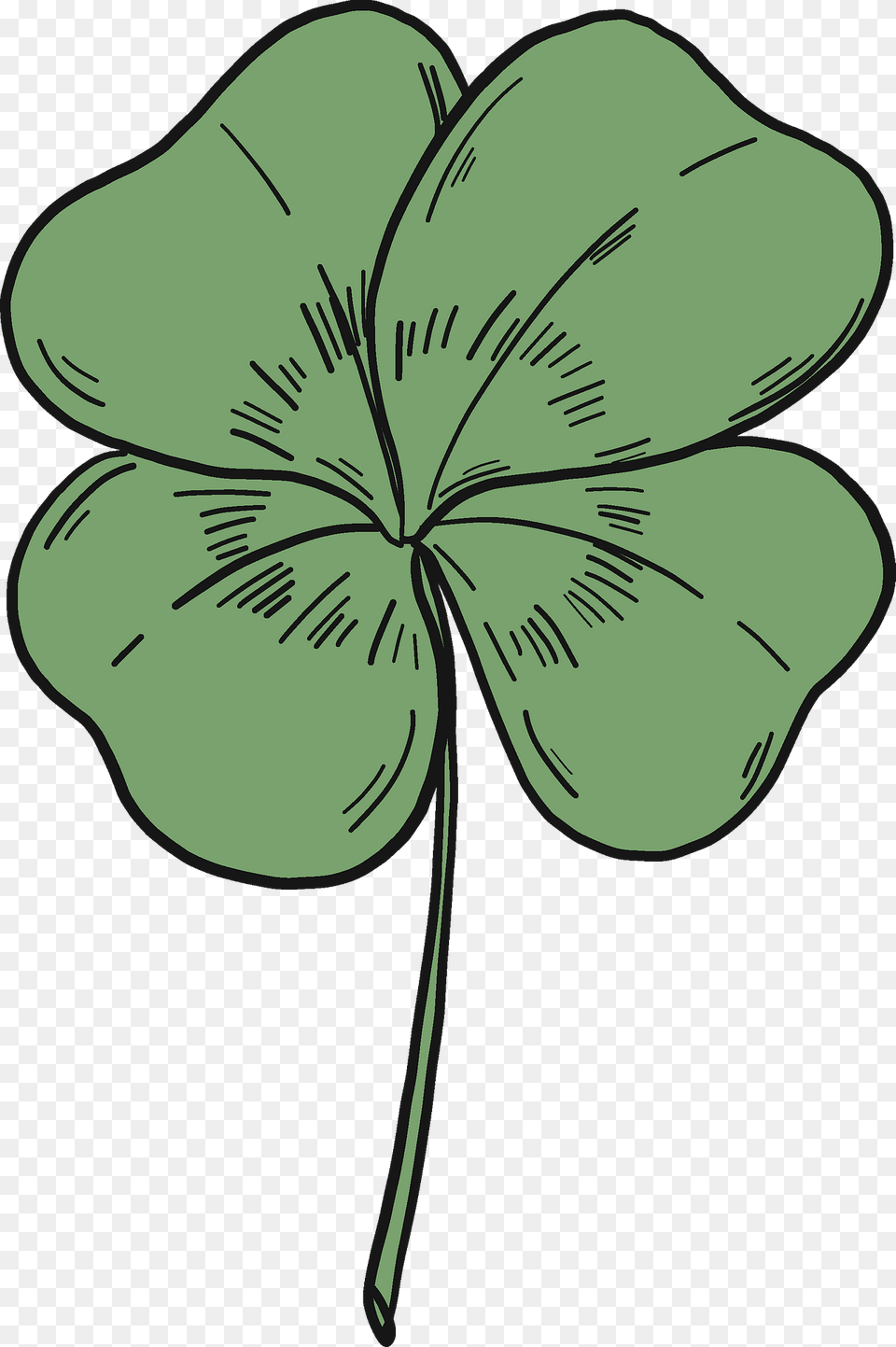 4 Leaf Clover Clipart, Plant, Flower, Geranium, Art Free Png