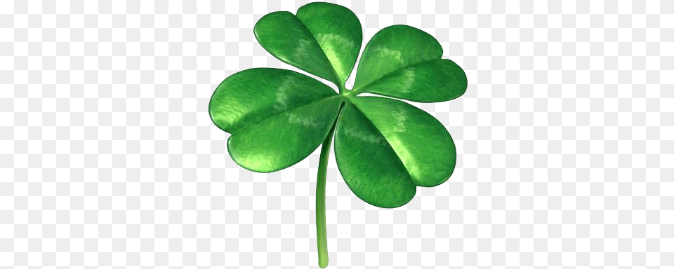 4 Leaf Clover Download Four Leaf Clover Plant Png Image