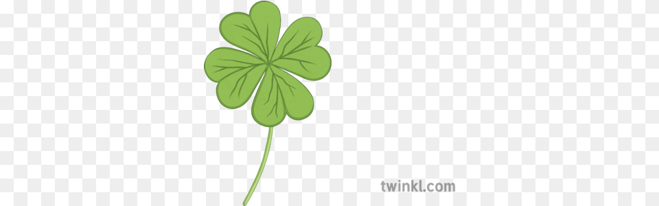 4 Leaf Clover Pshe Debate Saint Patricks Day Irish Ireland Shamrock, Flower, Geranium, Plant, Chandelier Free Png Download