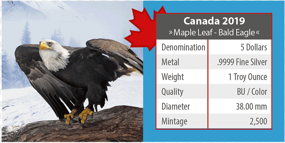 4 Maple Leaf Bald Eagle Cana Coin, Animal, Beak, Bird, Bald Eagle Free Transparent Png