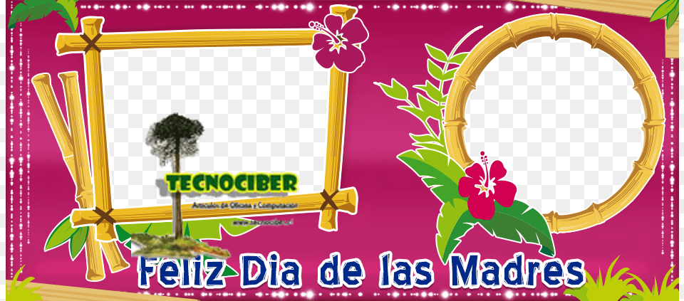 4 Next, Flower, Plant Free Png
