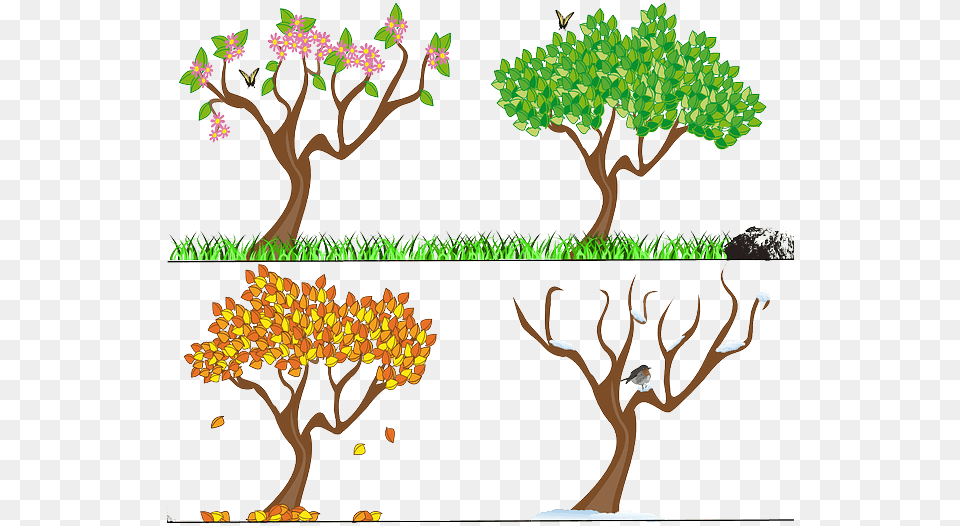 4 Seasons Seasons Of The Year Uk, Vegetation, Tree, Plant, Art Free Png Download