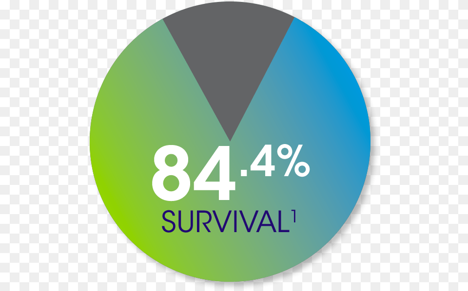 4 Survival Circle, Disk Png Image