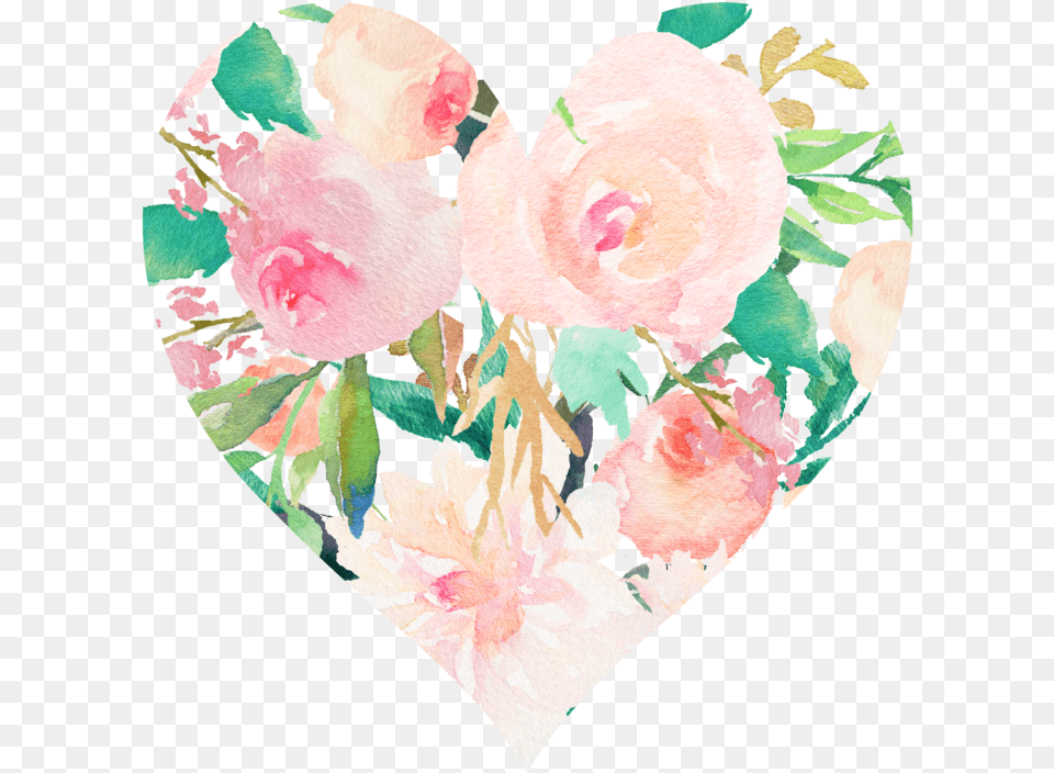 4 Wedding Uawg Pastellpfingstrosen Karte, Flower, Petal, Plant, Rose Free Transparent Png