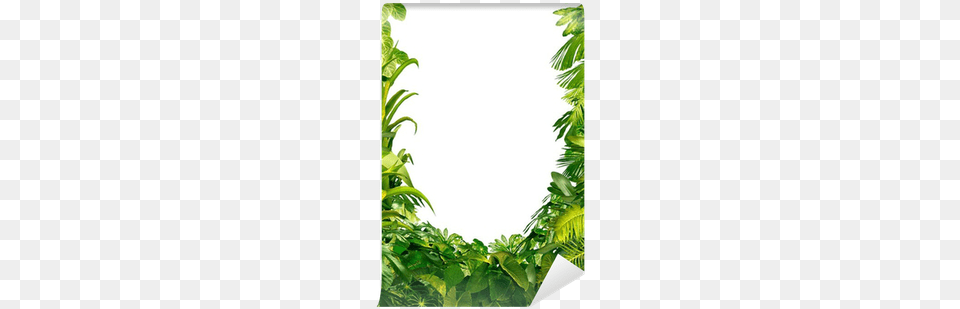 Tropical Frame, Green, Summer, Plant, Vegetation Free Transparent Png