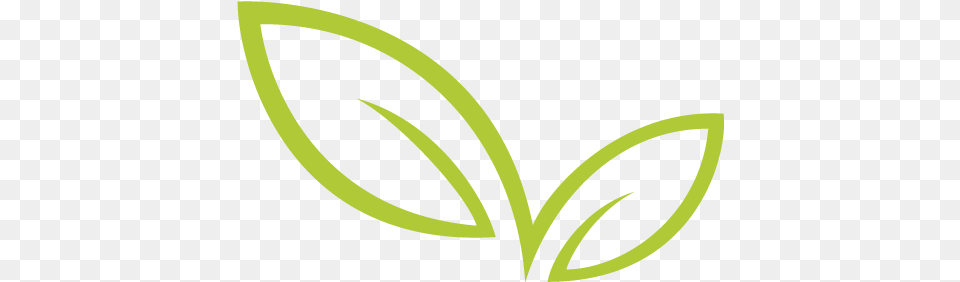 Folha, Leaf, Plant, Green, Herbal Free Png
