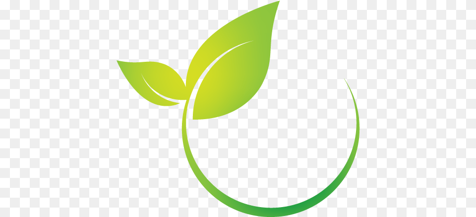 Folha, Green, Leaf, Plant, Produce Free Png