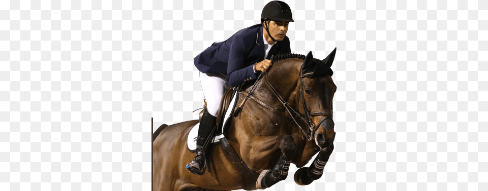 Pessoa, Animal, Equestrian, Horse, Mammal Png