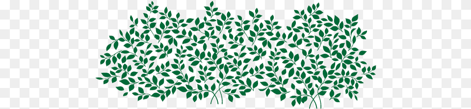Butterfly Bush, Green, Pattern, Plant, Nature Png Image