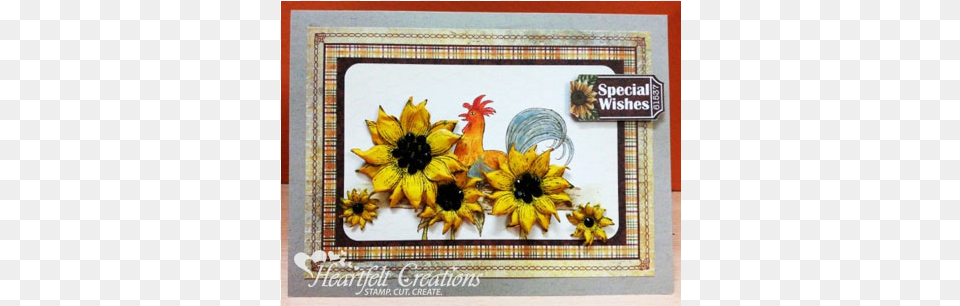 Sunflower Frame, Flower, Plant, Animal, Bird Png