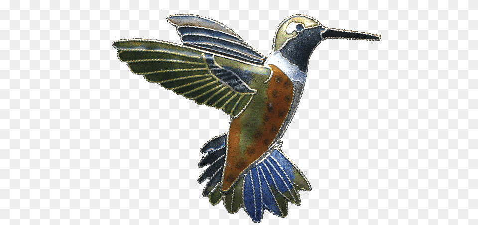 Hummingbird, Animal, Bird, Flying Free Png Download