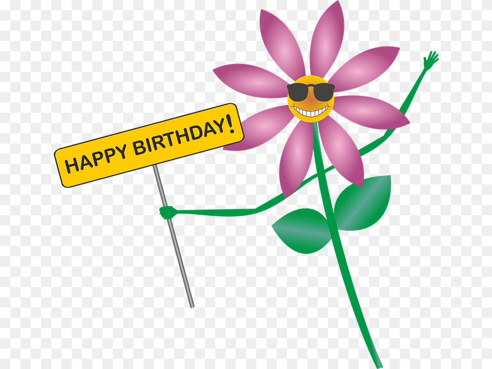 40th Birthday Clipart 13 Buy Clip Art Happy Birthday Sunflower, Daisy, Flower, Plant, Petal Free Transparent Png