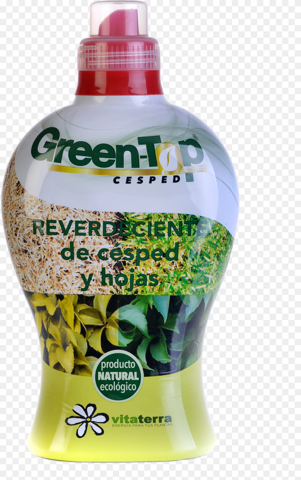 Cesped, Bottle, Herbal, Herbs, Plant Free Png