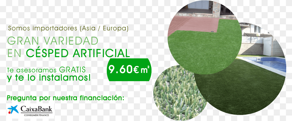 Cesped, Grass, Lawn, Plant, Sphere Free Png Download