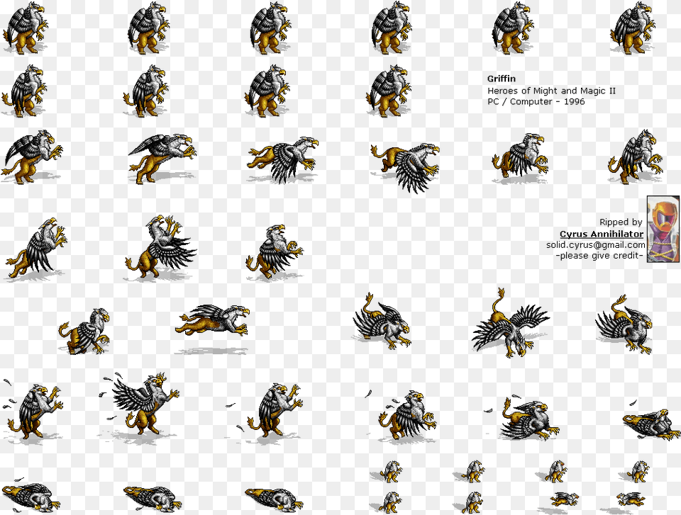 Halfling, Animal, Invertebrate, Insect, Wasp Free Png