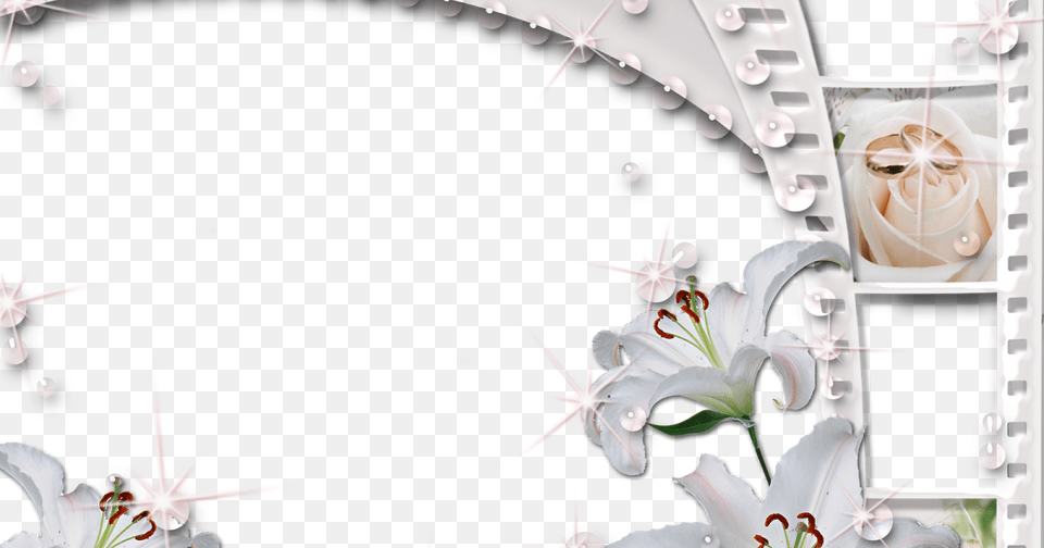 Flores Blancas, Anther, Flower, Petal, Plant Png