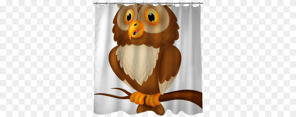 Owl Cartoon, Animal, Beak, Bird Free Transparent Png