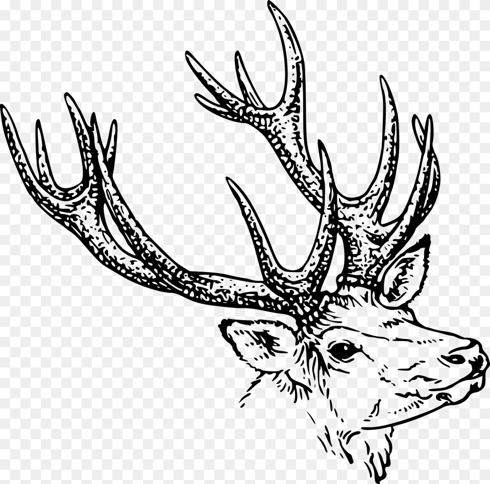 Deer Head Silhouette, Gray Free Png